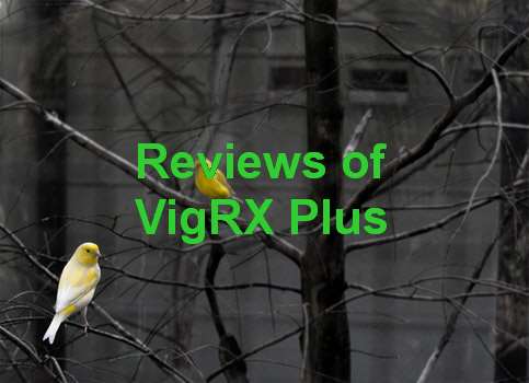 Male Extra Vs VigRX Plus