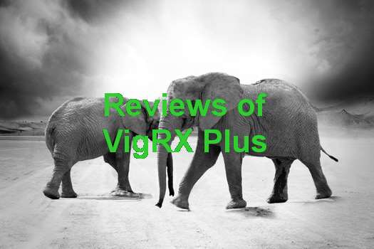 VigRX Plus Results Time