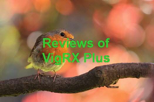 VigRX Plus Forum Review