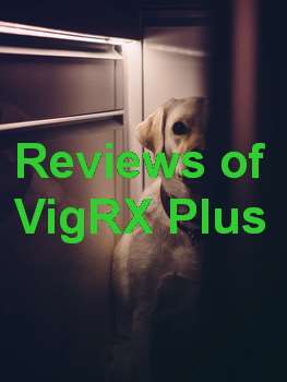 Where To Buy VigRX Plus In Anguilla
